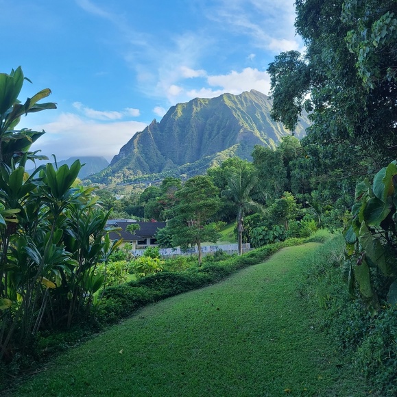 hawaiijem